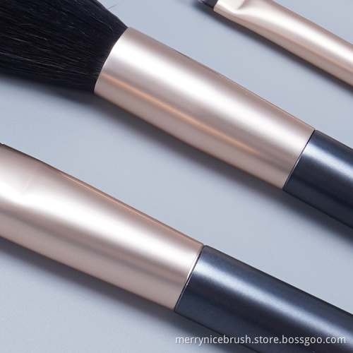 Merrynice new arrival private label handle 6Pcs brush makeup brush set